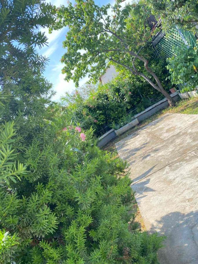 Apartmani Jelena Crikvenica Dış mekan fotoğraf
